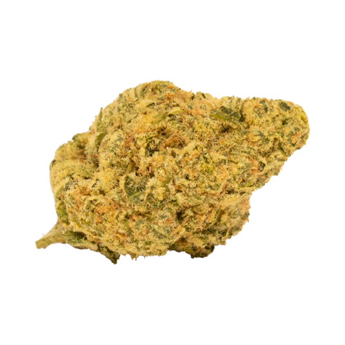 Tweed Lemon Meringue Pie - Image 2