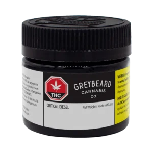 Greybeard Critical Diesel